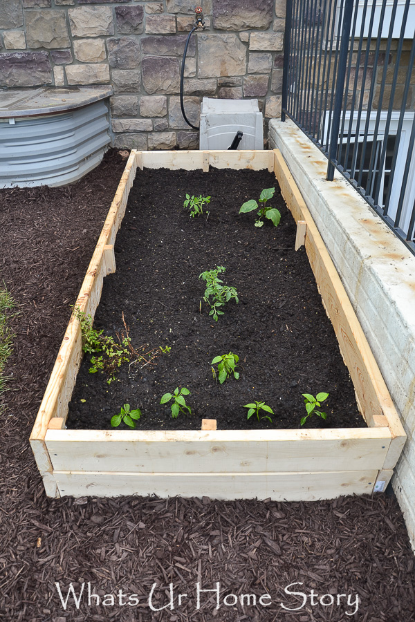 DIY Raised Garden Bed