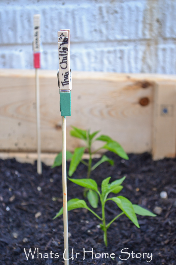 DIY Plant Markers