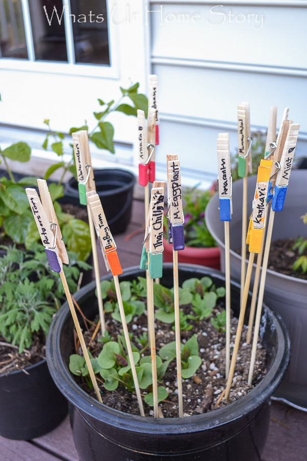 DIY Plant Markers