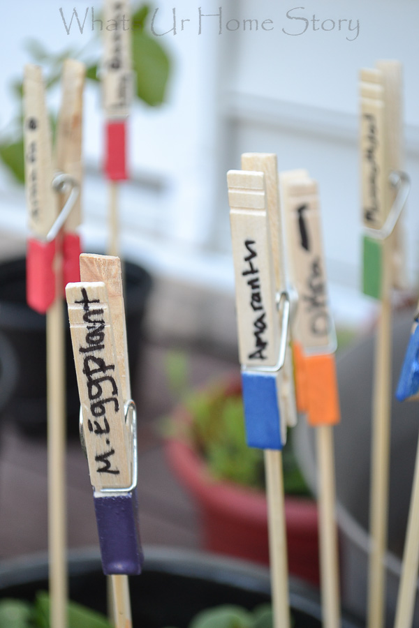 DIY Plant Markers
