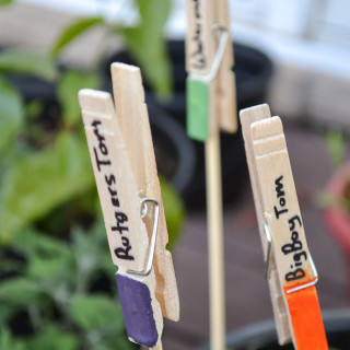 diy plant markers with clothespins
