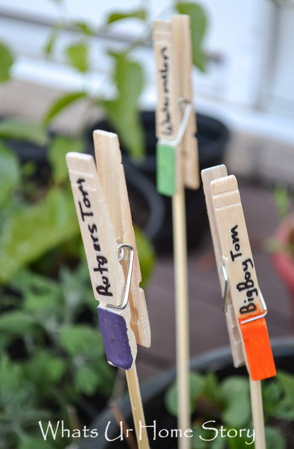 DIY Plant Markers