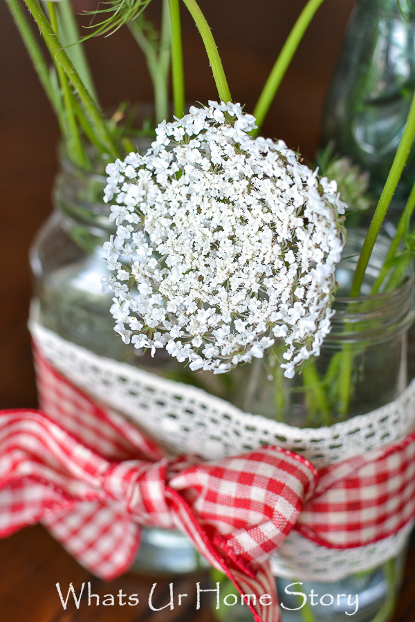 Flower Power   Queen Annes Lace