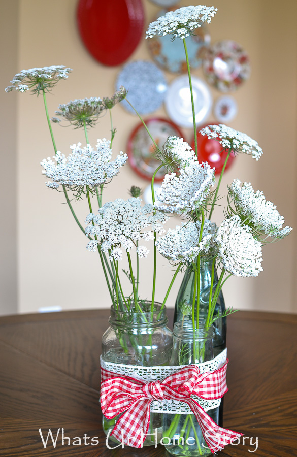 Flower Power   Queen Annes Lace