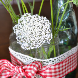 Queen Annes Lace arrangement