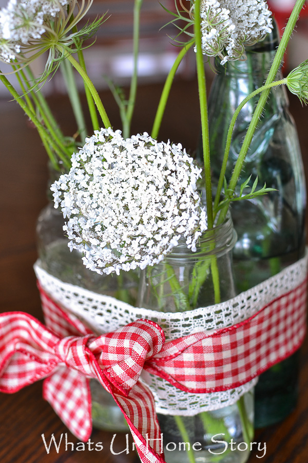 Flower Power   Queen Annes Lace