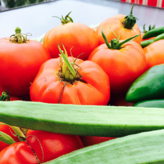 vegetable gardening