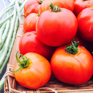 vegetable gardening