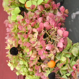 Simple Fall wreath with dried Hydrangeas and seed pods from the yard Hydrangea wreath