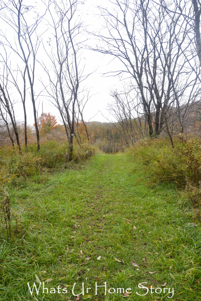 Fall Color in Canaan Valley, West Virginia