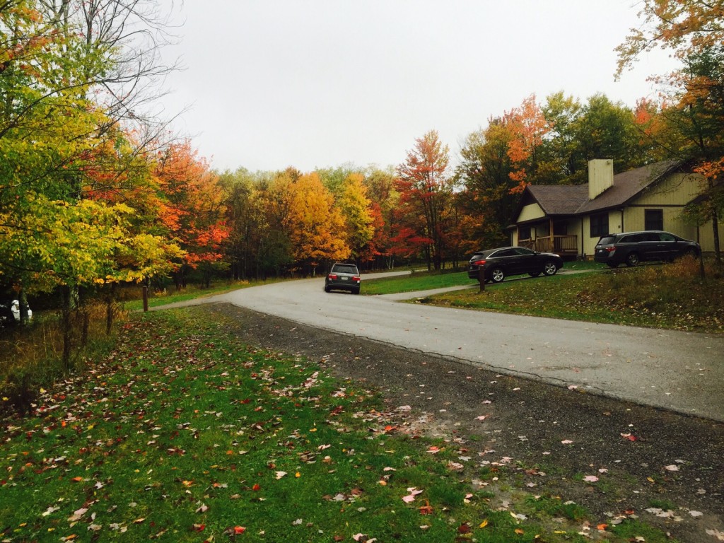 Fall Color in Canaan Valley, West Virginia