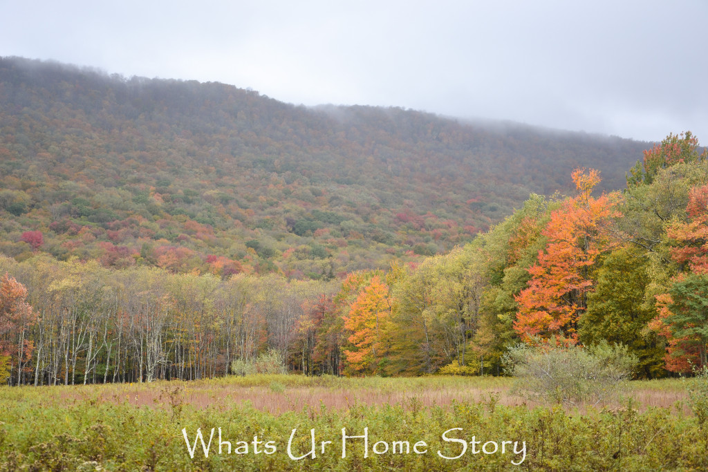Fall Color in Canaan Valley, West Virginia