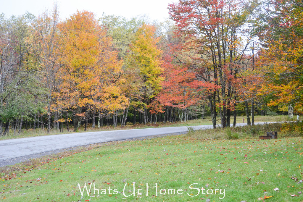 Fall Color in Canaan Valley, West Virginia