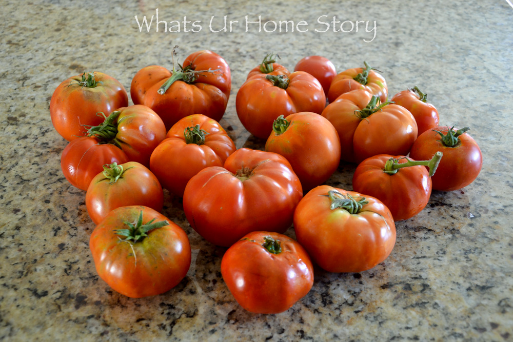 How to Freeze Tomatoes