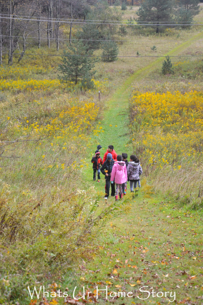 Fall Color in Canaan Valley, West Virginia