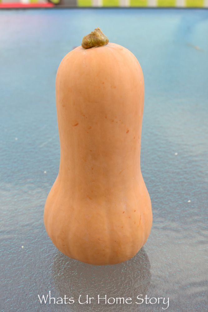 Butternut Squash Centerpiece