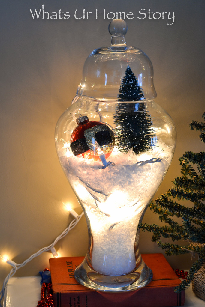 How to Make a Snow Globe Terrarium