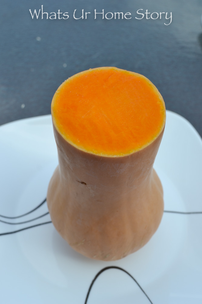 Butternut Squash Centerpiece