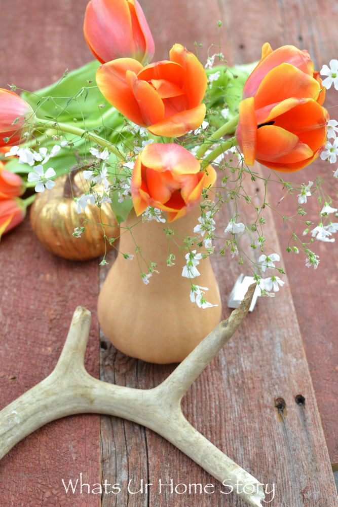 Butternut Squash Centerpiece