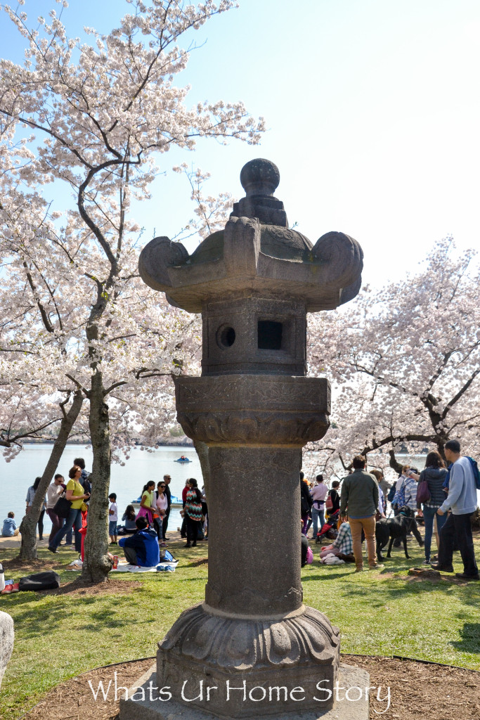 Cherry Blossom Festival 2016