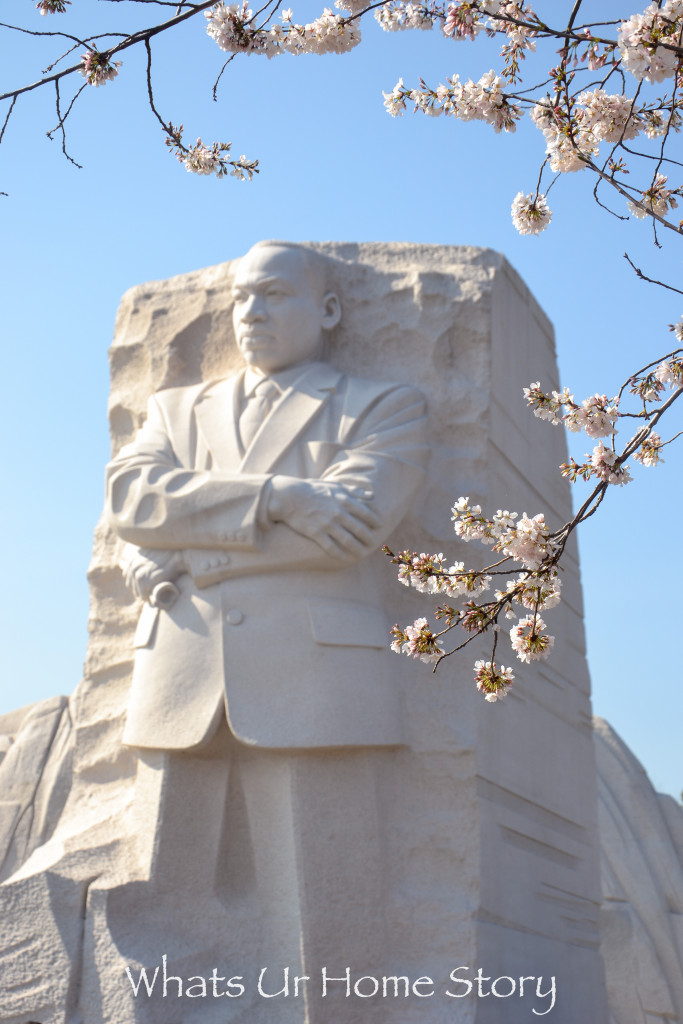 Cherry Blossom Festival 2016