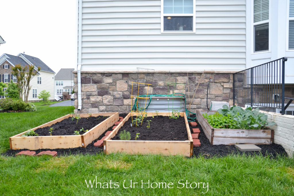 Vegetable Garden Beds Galore