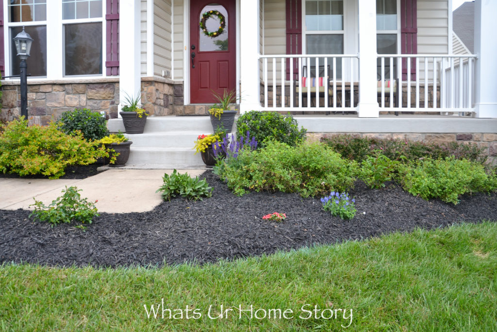 New Front Yard Bed