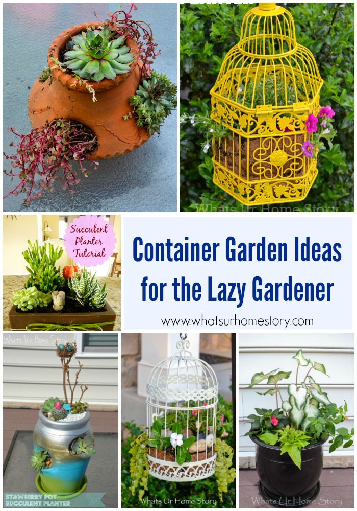 6 Easy Container Garden Ideas for the Lazy Gardener