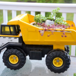 succulent toy truck planter a fun projects for the mamas and kids to do in the garden