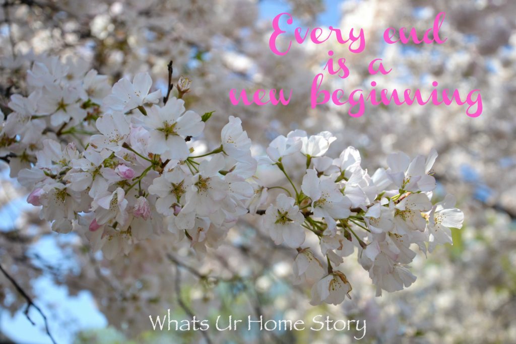 Happy New Year & 5th Blog Birthday!
