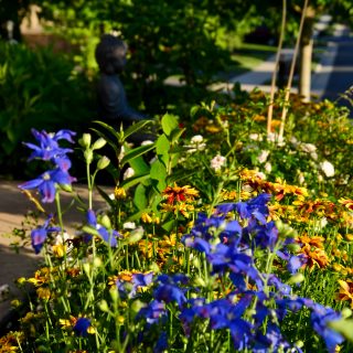 Spring garden with a Zen feel