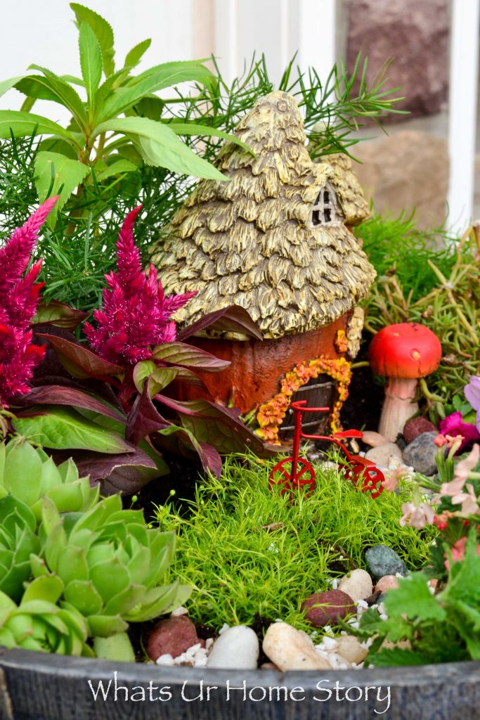 How to Make a Fairy Garden