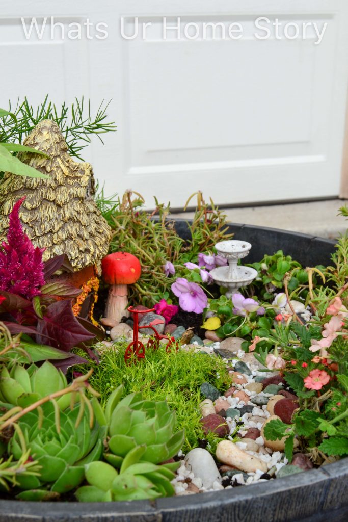 How to Make a Fairy Garden