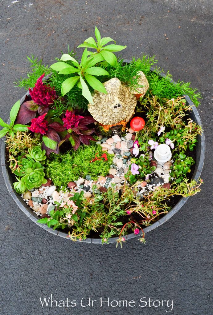 How to Make a Fairy Garden