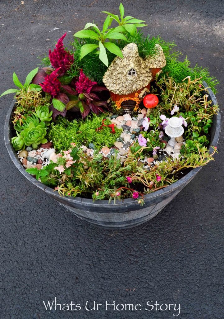 How to Make a Fairy Garden