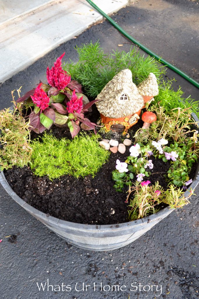 How to Make a Fairy Garden