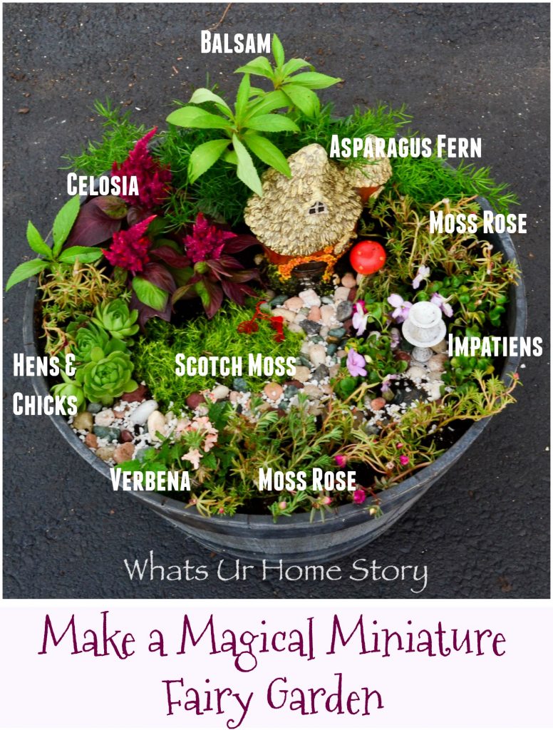 How to Make a Fairy Garden