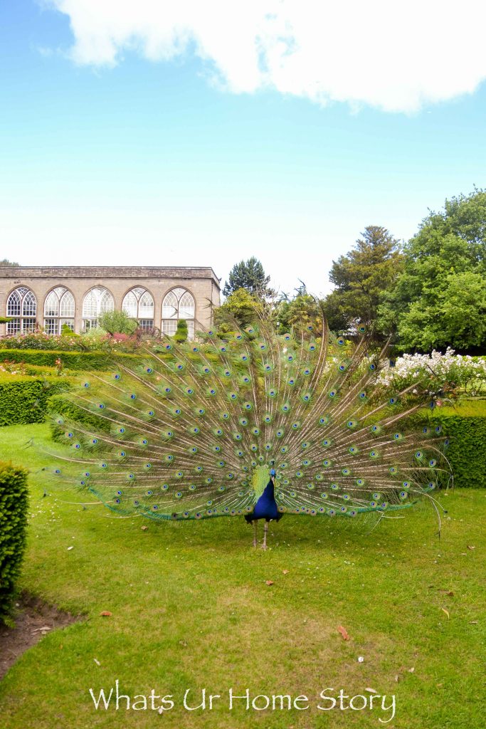 Our Trip to Warwick Castle