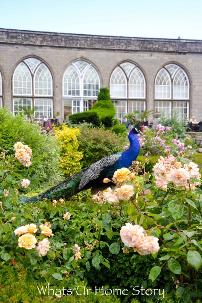 Our Trip to Warwick Castle