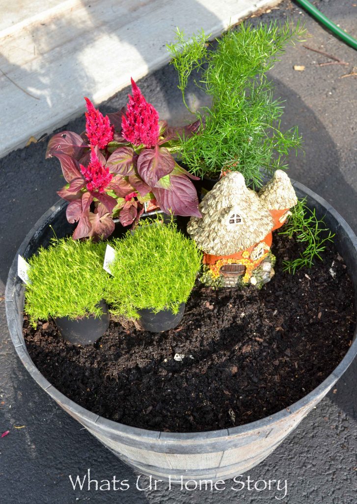 How to Make a Fairy Garden