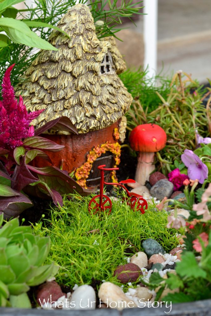 How to Make a Fairy Garden