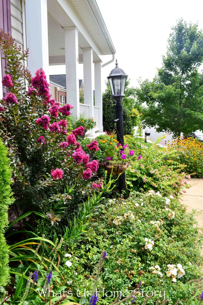 Front Yard Garden   Summer 2017