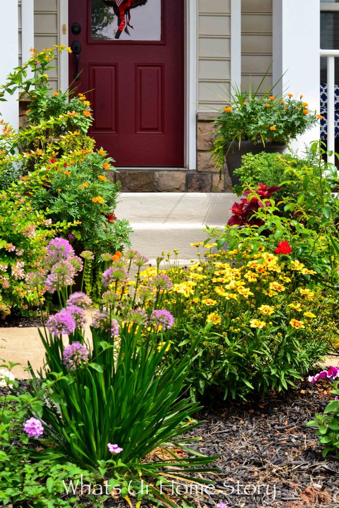 Front Yard Garden   Summer 2017