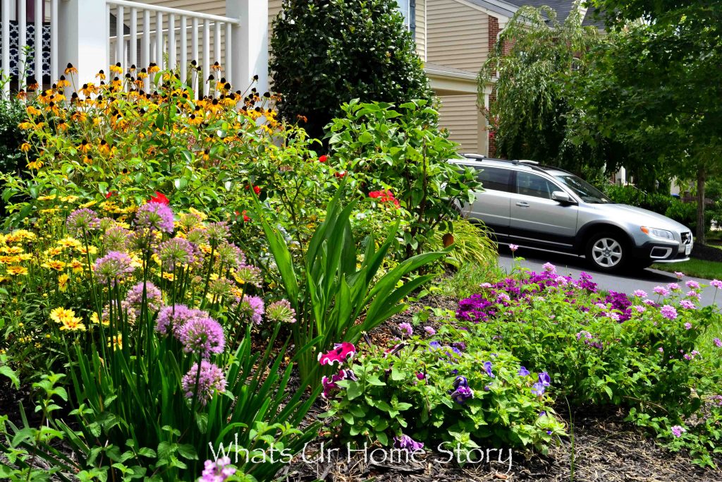 Front Yard Garden   Summer 2017