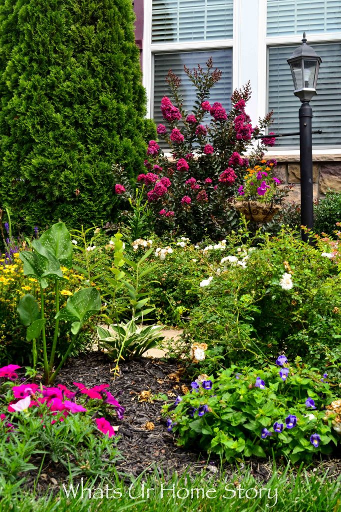 Front Yard Garden   Summer 2017