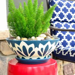 Fox Tail Fern in a blue and white painted planter DIY