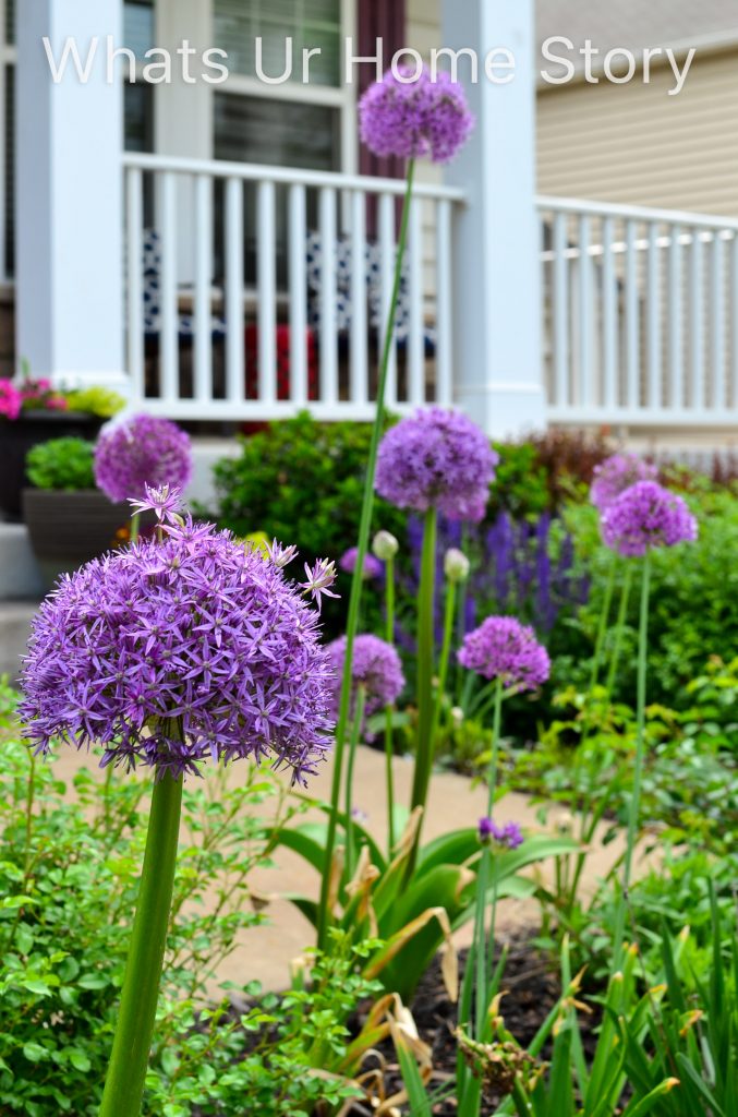 Spring Garden 2018   A Perennial Haven