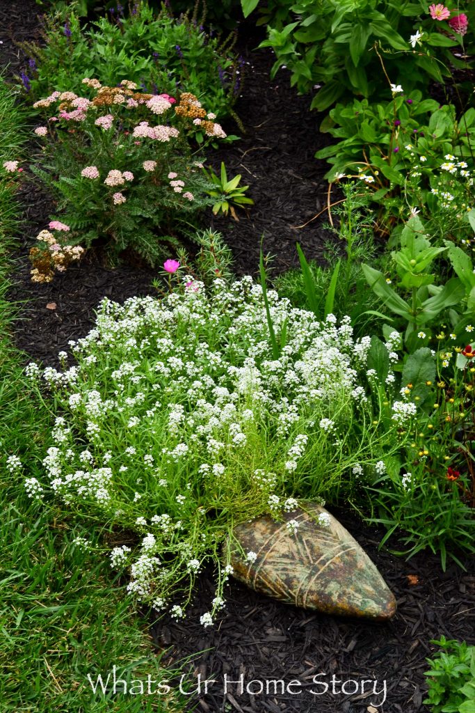 My Cottage Garden   Summer 2018