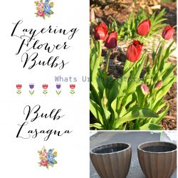 Pinspiration 15th   Garden Planters