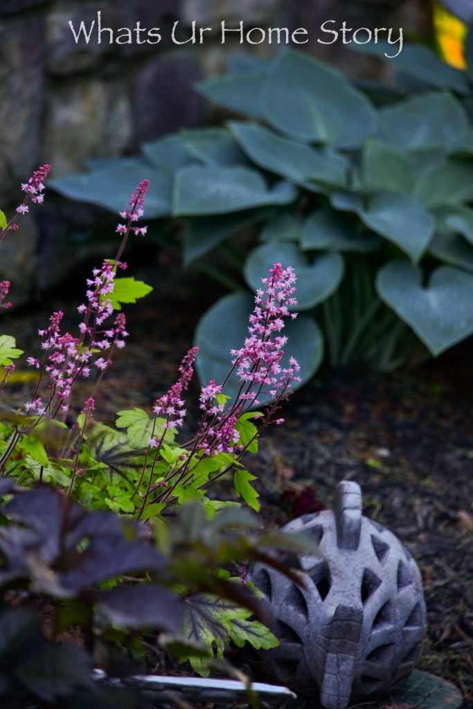 10 Best Perennials for Shade